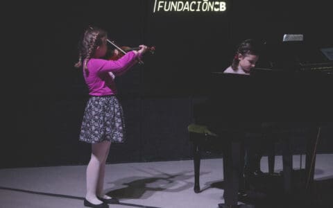 violin